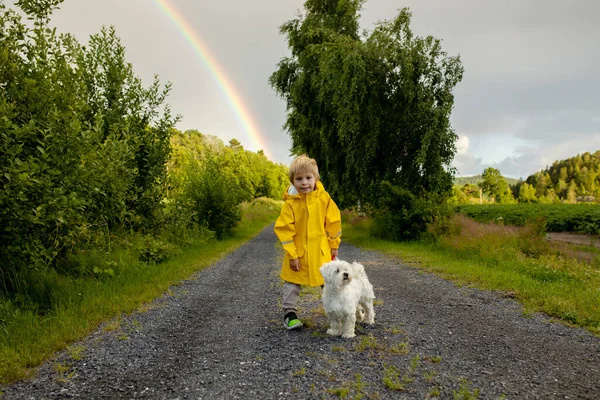 Little child with yellow raincoat and maltese dog, walking on a path, rainbow in front of him, Norway nature