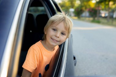 Happy child, cute boy, looking out of the window of a car with his pet dog, maltese dog