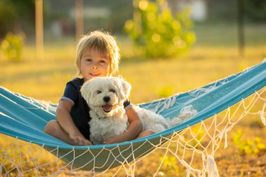 Happy child, cute boy, swinging on hammock swing in garden with his pet dog, maltese dog on sunset