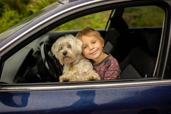 Child Toddler Boy Maltese Dog Staying Car Windon Cold Rainy — 图库照片