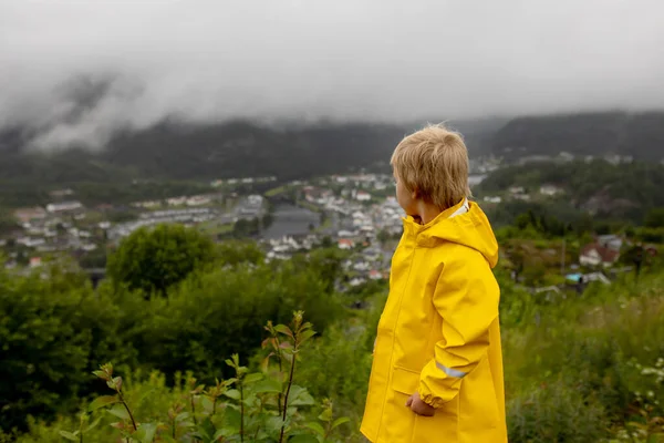 People Enjoying Scenery View Valley Western Part Norway Kvinesdal County — Stok fotoğraf