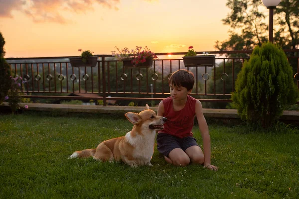 Child Boy Embraces His Pet Dog Playing Him Garden Teaching — Stockfoto