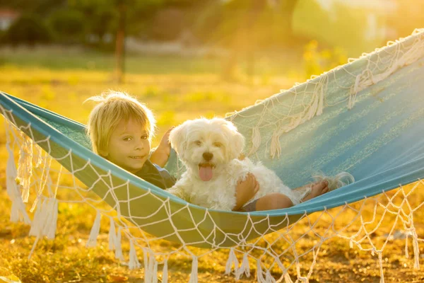 Happy Child Cute Boy Swinging Hammock Swing Garden His Pet — Stock fotografie