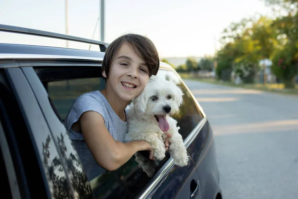 Счастливый Ребенок Милый Мальчик Выглядывающий Окна Машины Своей Собакой Мальтийской — стоковое фото