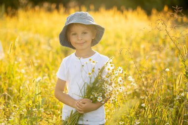 Cute little toddler child, blond boy, eating watermelon in beautiful daisy field on sunset