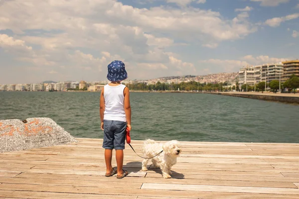 Παιδί Επισκέπτεται Θεσσαλονίκη Καλοκαίρι Σκυλάκι Και Την Οικογένειά Του Ελλάδα — Φωτογραφία Αρχείου