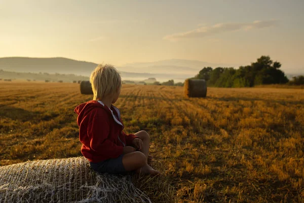 Sweet Toddler Child Boy Sitting Haystack Field Sunrise Enjoying View — 图库照片