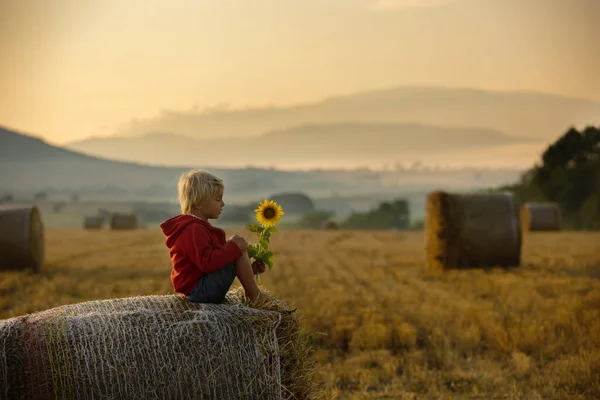 Sweet Toddler Child Boy Sitting Haystack Field Sunrise Enjoying View — 图库照片