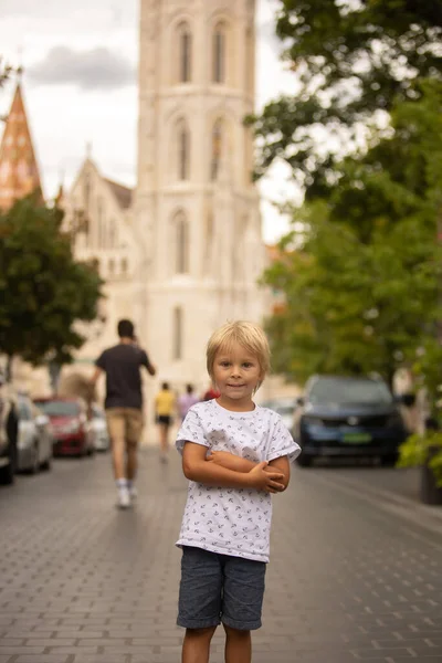 Child, boy, visiting the castle in Budapest on a summer day, Hungary