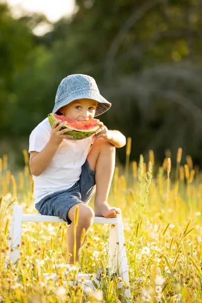 Cute Little Toddler Child Blond Boy Eating Watermelon Beautiful Daisy — Foto de Stock