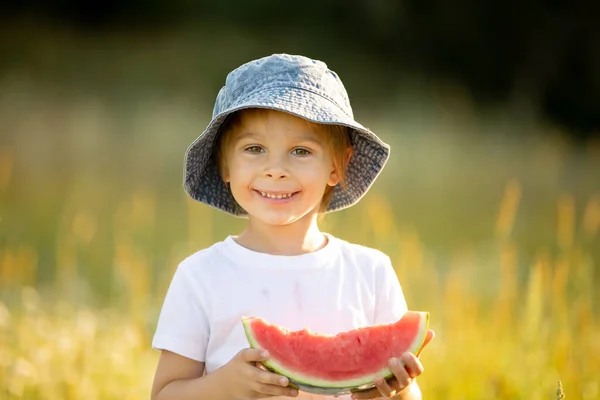Cute Little Toddler Child Blond Boy Eating Watermelon Beautiful Daisy — Foto Stock
