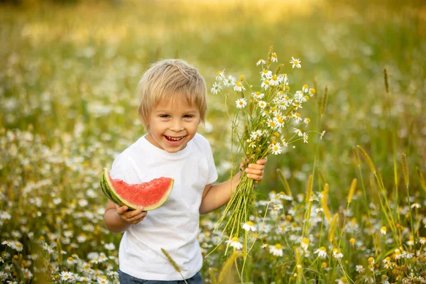 Cute Little Toddler Child Blond Boy Eating Watermelon Beautiful Daisy — Zdjęcie stockowe