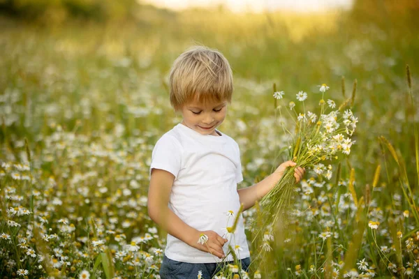 Cute Little Toddler Child Blond Boy Eating Watermelon Beautiful Daisy — Fotografia de Stock