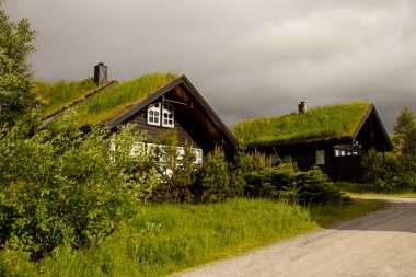 village with typical houses for Southwest Norway on the shore of Lysebotn fjord, near Kjerag