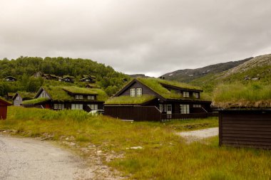 village with typical houses for Southwest Norway on the shore of Lysebotn fjord, near Kjerag