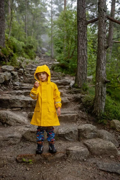 Family Enjoying Hike Preikestolen Pulpit Rock Lysebotn Norway Rainy Day — Stok fotoğraf