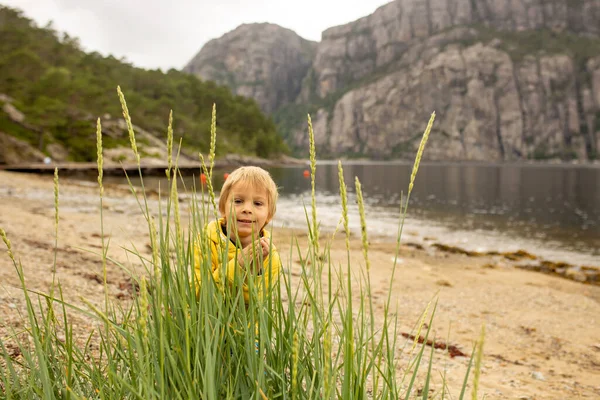 Family Children Adults Dog Enjoying Beach Forsand Lysebotn Cloudy Day — Stockfoto