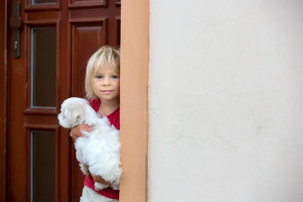 Cute Toddler Blond Child Boy Holding Little Puppy Maltese Dog — 图库照片