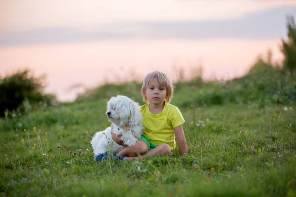 可爱的学龄前儿童 金发男孩 头发上有粉色条纹 日落时和他可爱的恶狗在公园拍照 — 图库照片