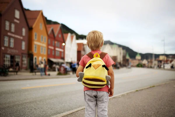 People Children Enjoying Amazing Views Norway Fjords Mountains Other Beautiful — 图库照片