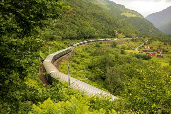 People Children Enjoying Amazing Views Norway Fjords Mountains Other Beautiful — 图库照片