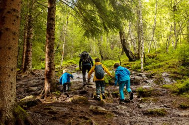 People, adult with kids and pet dog, hiking mount Hoven, enjoying the splendid view over Nordfjord from the Loen skylift