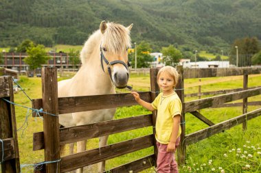 Child, toddler, looking at beautiful horses, caressing them