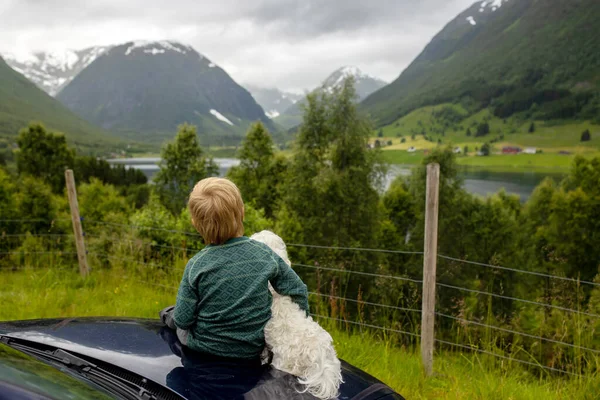 People Children Enjoying Amazing Views Norway Fjords Mountains Other Beautiful — Zdjęcie stockowe