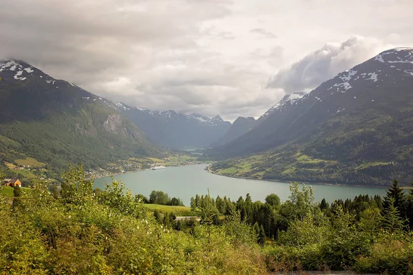 People Adult Kids Pet Dog Hiking Mount Hoven Enjoying Splendid — Stock fotografie