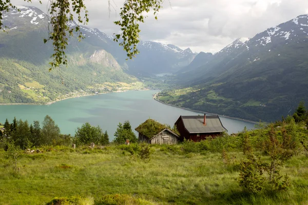 People Adult Kids Pet Dog Hiking Mount Hoven Enjoying Splendid — Stock fotografie