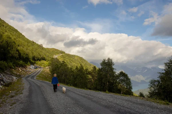 People Adult Kids Pet Dog Hiking Mount Hoven Enjoying Splendid — Stok fotoğraf