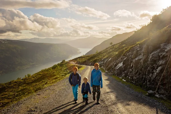 People Adult Kids Pet Dog Hiking Mount Hoven Enjoying Splendid — Foto Stock