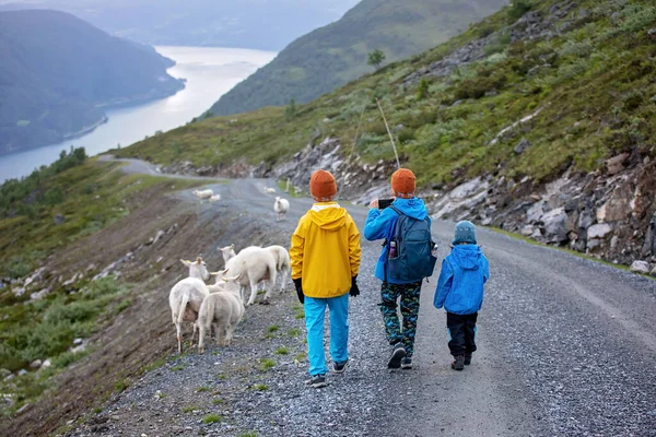 People Adult Kids Pet Dog Hiking Mount Hoven Enjoying Splendid — Foto de Stock
