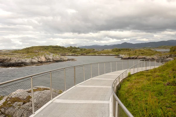 Family Kids Adults Pet Dog Enjoying View Atlantic Ocean Road — Stockfoto