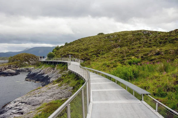 Family Kids Adults Pet Dog Enjoying View Atlantic Ocean Road — Stockfoto