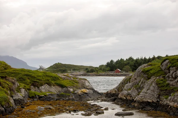 Family Kids Adults Pet Dog Enjoying View Atlantic Ocean Road — Foto Stock