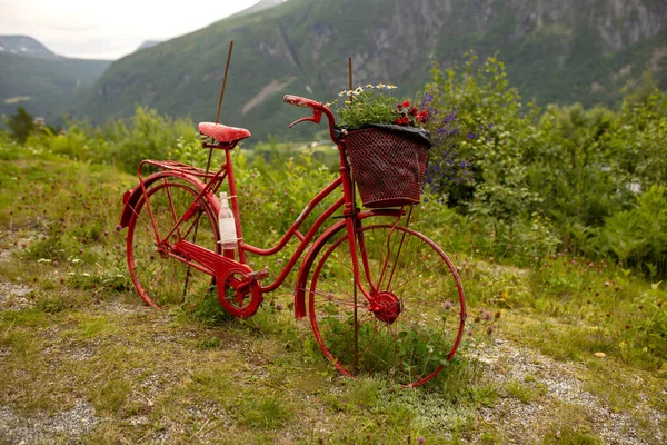 Norveç Yol Boyunca Güzel Renkli Bisikletler Batı Norveç Dekorasyon Için — Stok fotoğraf