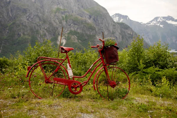 Piękne Kolorowe Rowery Wzdłuż Drogi Norwegii Używane Dekoracji Zachodniej Norwegii — Zdjęcie stockowe