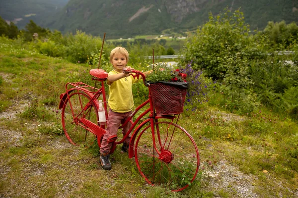 Bicicletas Coloridas Bonitas Longo Estrada Noruega Usado Para Decoração Oeste — Fotografia de Stock