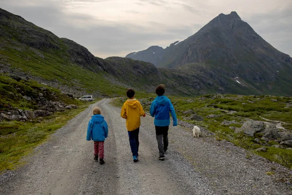 Family Children Dog Hiking Litlefjellet Sunset Enjoying Amazing View Top — Fotografia de Stock