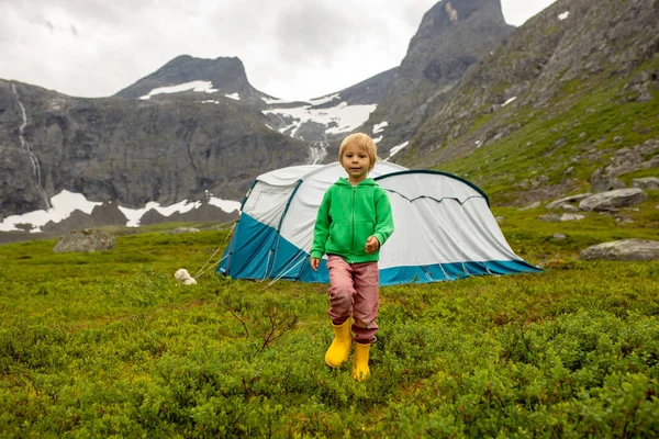 Family Children Dog Hiking Litlefjellet Sunset Enjoying Amazing View Top — Zdjęcie stockowe