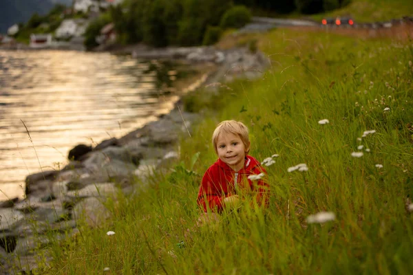 People Children Enjoying Amazing Views Norway Fjords Mountains Other Beautiful — Fotografia de Stock