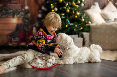 Evde rahat bir Noel atmosferi, yatağında oturan bir çocuk, evcil köpeğiyle kurabiye yiyen, Malta köpeği, birlikte Noel 'i kutlayan ve çay içen bir çocuk.