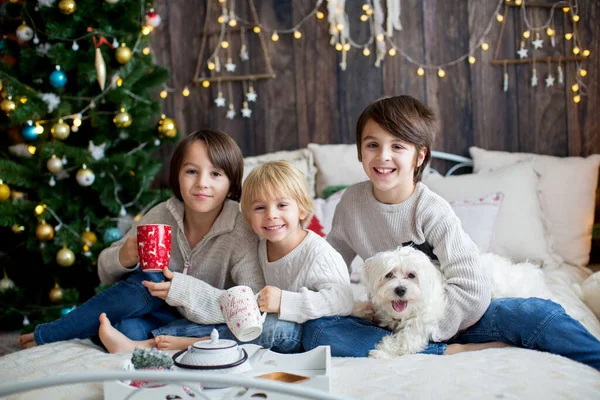 Famiglia Felice Con Bambini Cane Compagnia Godersi Natale Insieme Festeggiare — Foto Stock