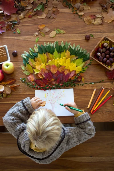 可爱的孩子 在家里用胶水涂树叶 用树叶做工艺和木筏 五彩斑斓的树叶 — 图库照片