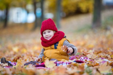 Mutlu çocuk, güneşli bir günde sonbahar parkında oynuyor, yeşillik ve yapraklar etrafında, elma yiyor.