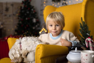 Tatlı çocuk, oğlum, Noel için süslü bir odada sarı bir koltukta oturuyor, rahat bir yer.