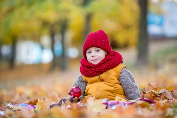 Šťastné Dítě Hraje Ním Podzimním Parku Slunečného Dne Listí Listí — Stock fotografie