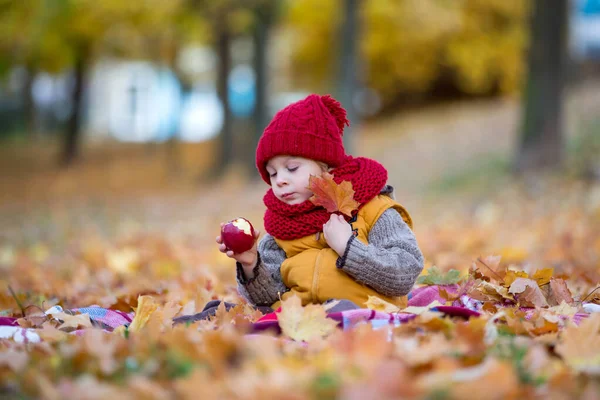 Szczęśliwe Dziecko Bawiące Się Jesienny Park Słoneczny Dzień Liście Liście — Zdjęcie stockowe