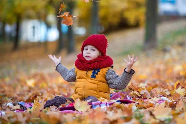 Ευτυχισμένο Παιδί Παίζει Φθινόπωρο Πάρκο Μια Ηλιόλουστη Μέρα Φύλλωμα Και — Φωτογραφία Αρχείου